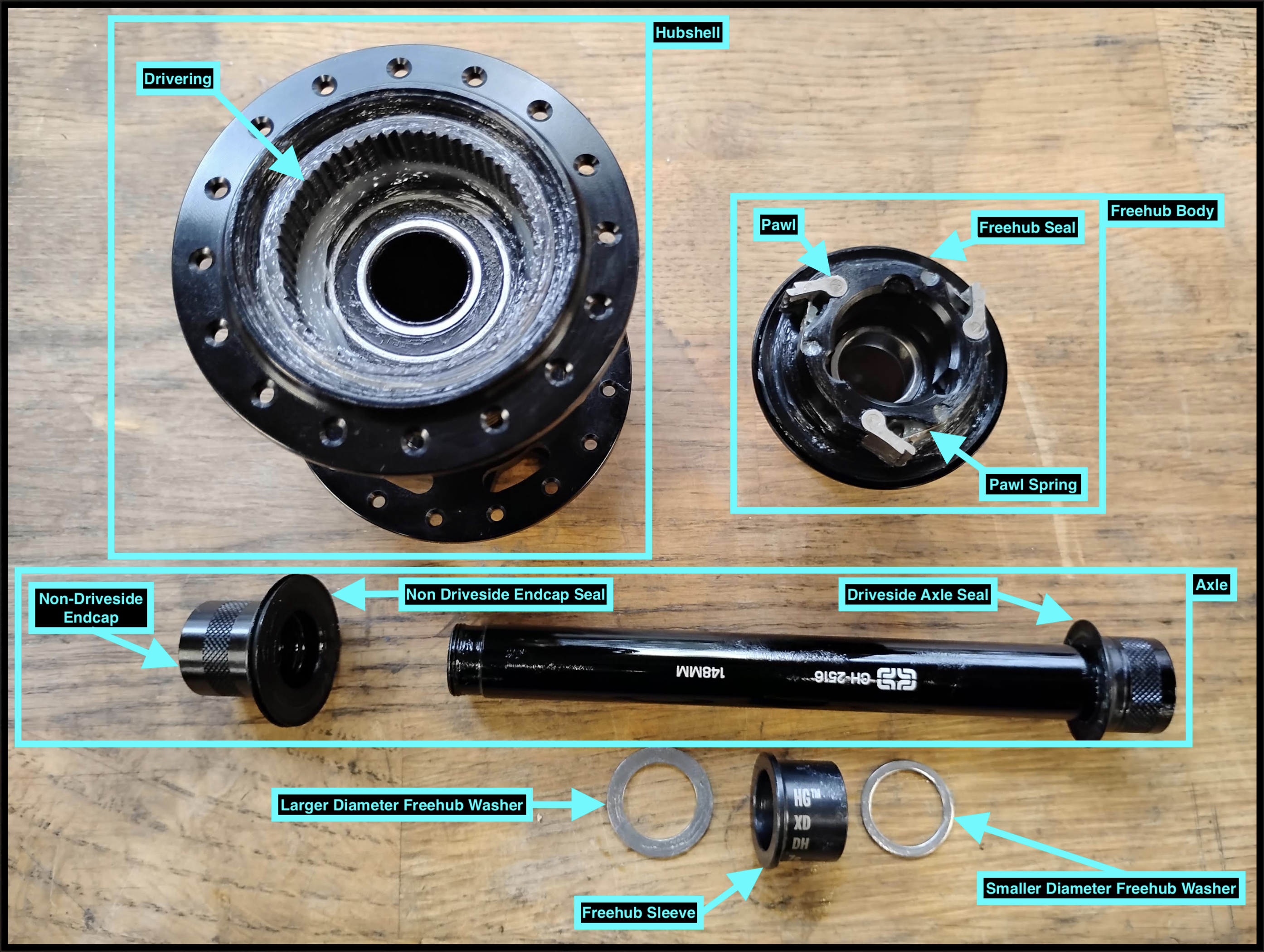 Hub Disected Final.png
